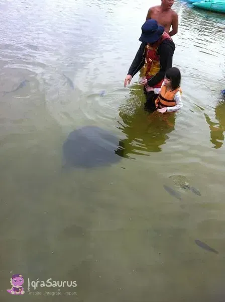 A child in a life jacket stands with an adult in shallow water, a large stingray nearby