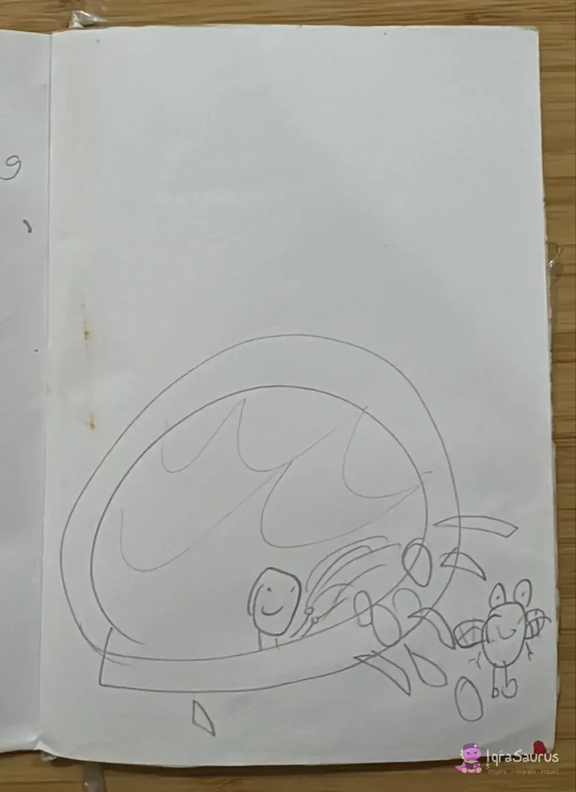 A pencil drawing of a smiling boy in a swimming pool with splashes and a small fly beside it.
