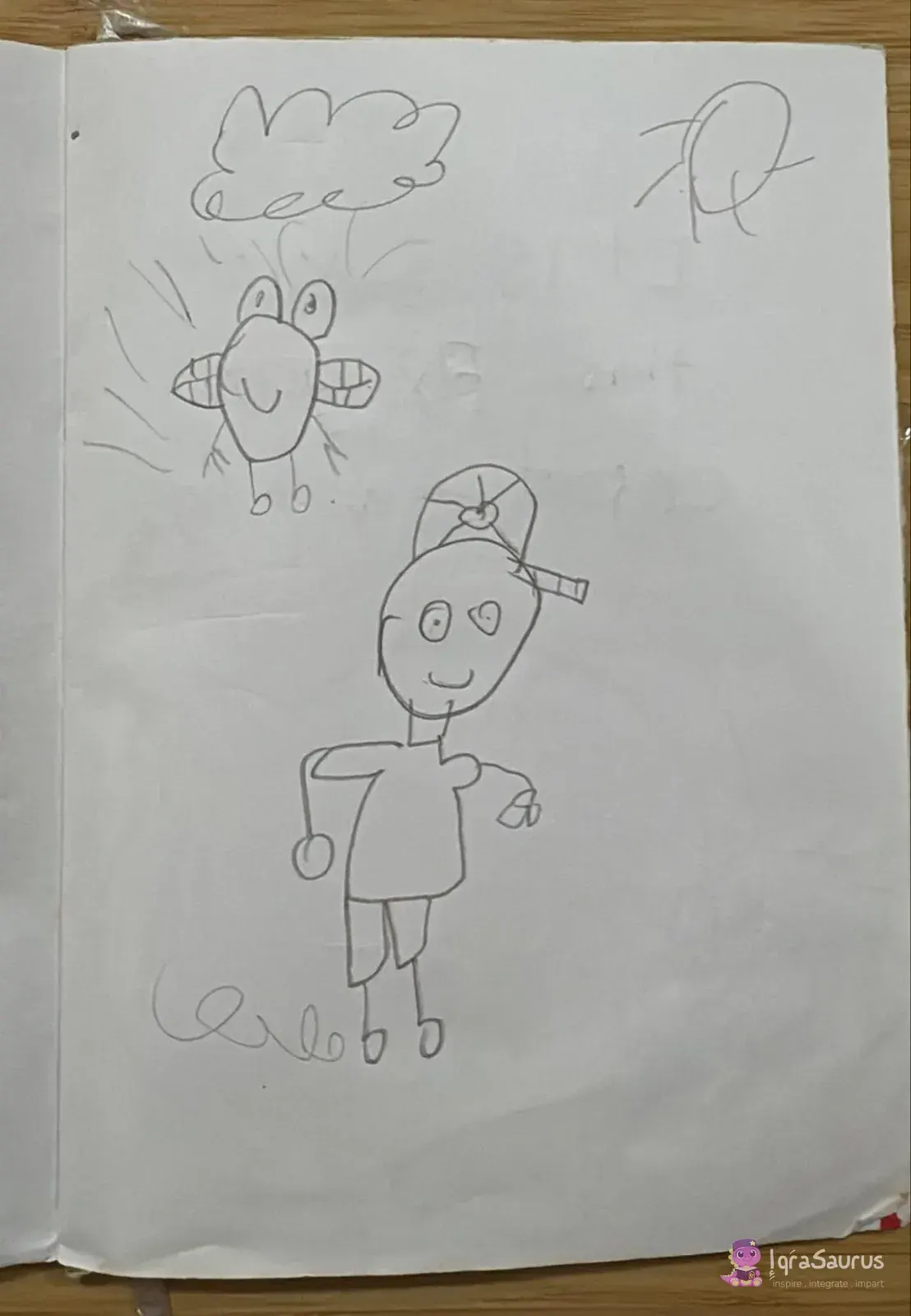 A pencil drawing of a boy in a cap playing catch with a smiling fly under a cloud.