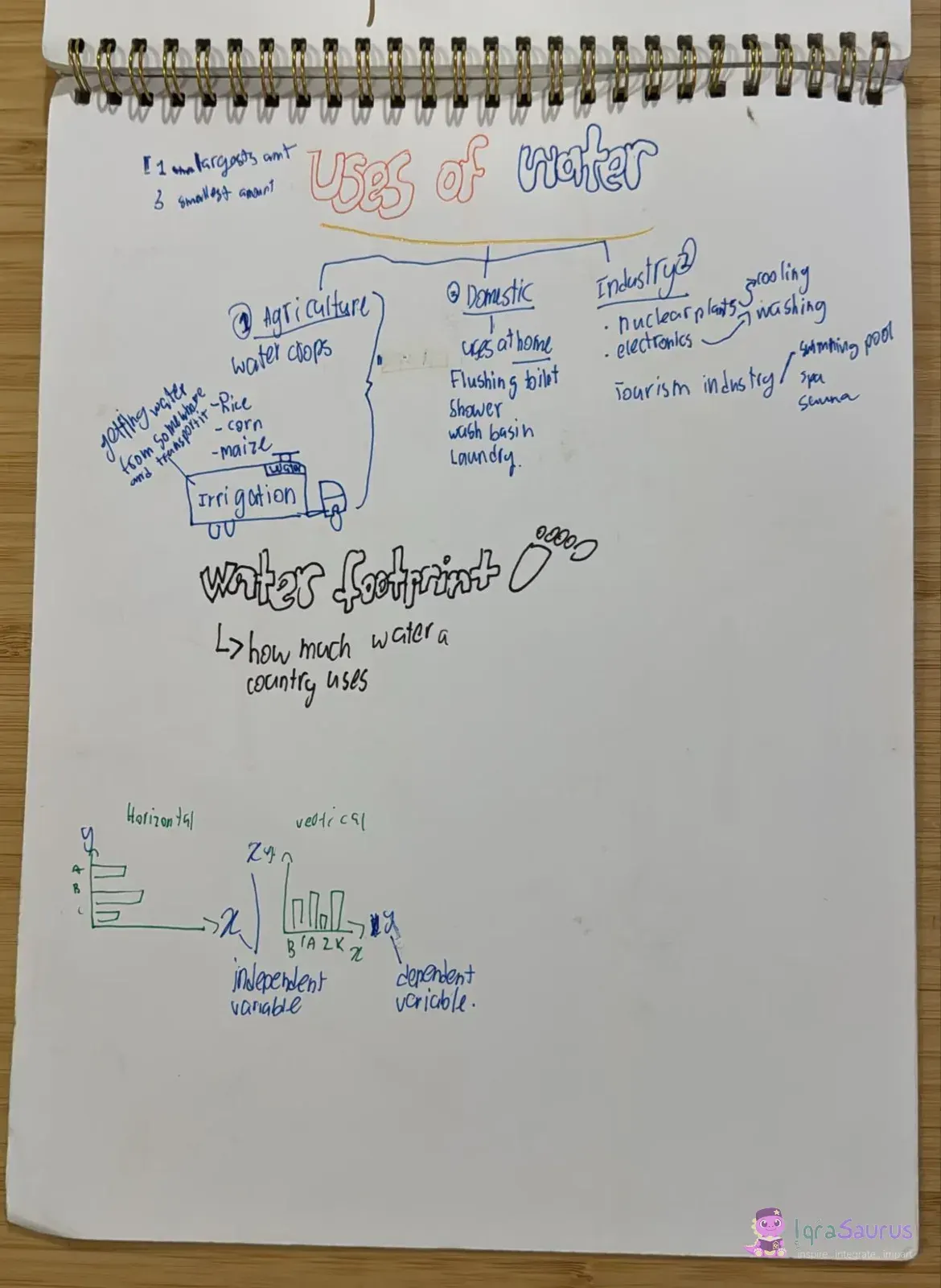 A mind map titled "Uses of water" in bubble letters, with branches for agriculture, domestic use and industry