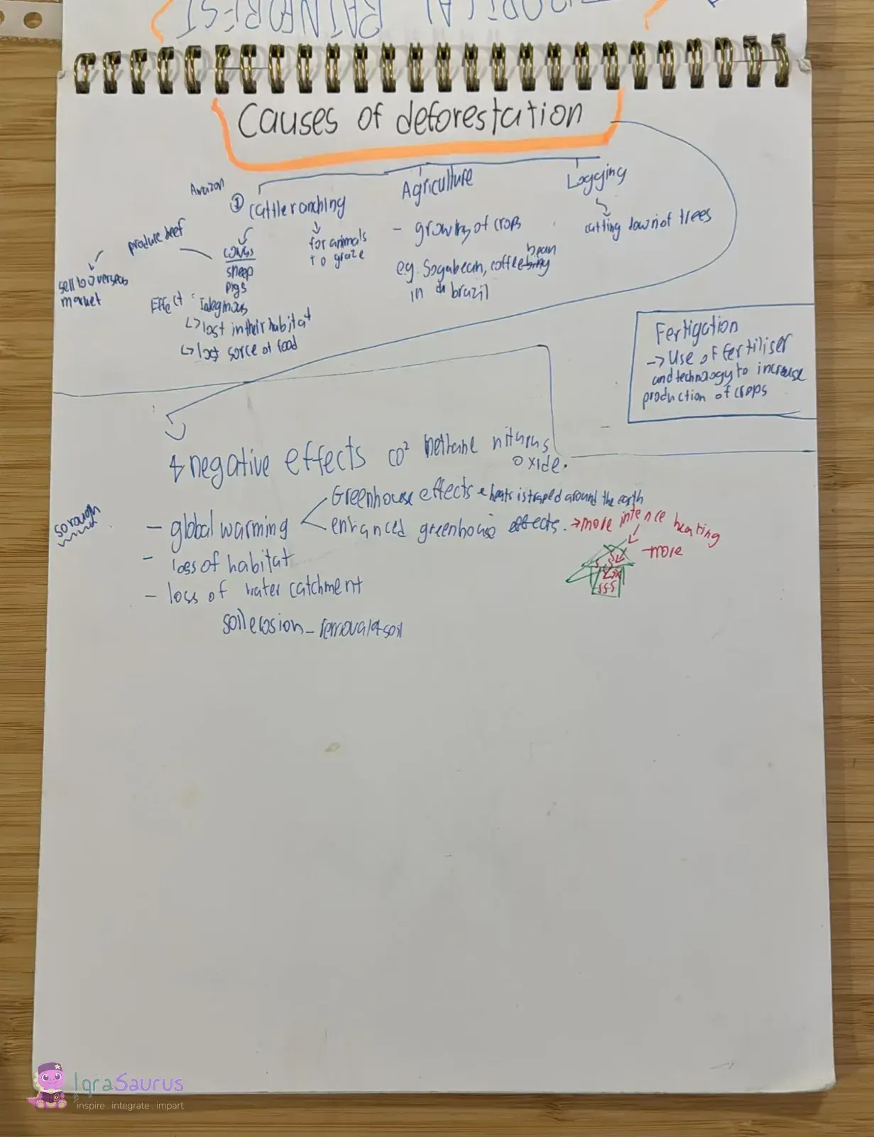 Notes titled "Causes of deforestation", with arrows from causes such as cattle ranching and logging to effects such as global warming