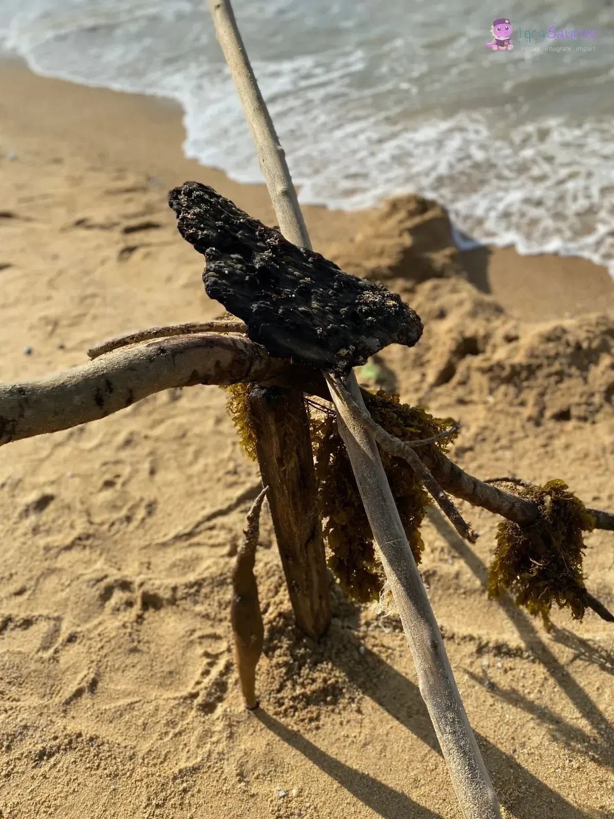 Driftwood, seaweed and a burnt log propped up on the sand by the water
