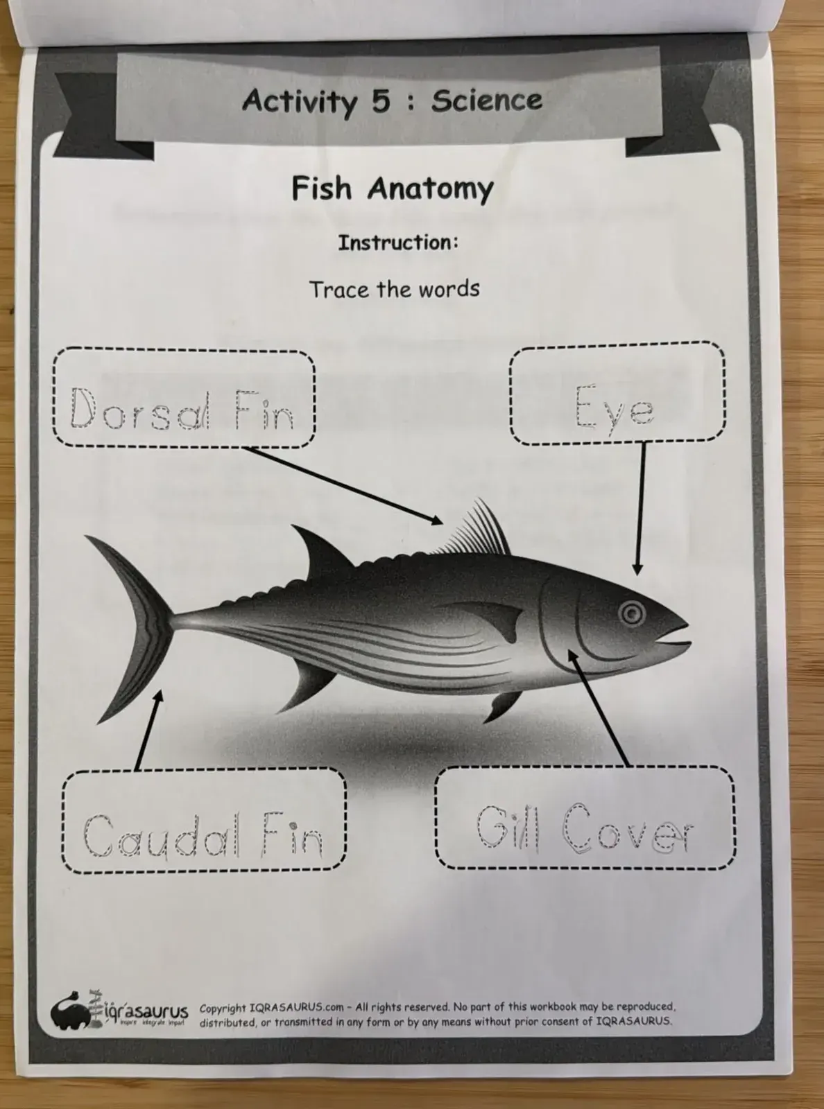 Activity 5: Hilwaa traced the names of the parts of a fish